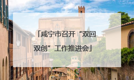 咸宁市召开“双回双创”工作推进会