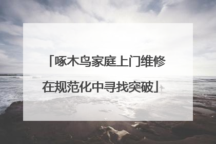 啄木鸟家庭上门维修在规范化中寻找突破