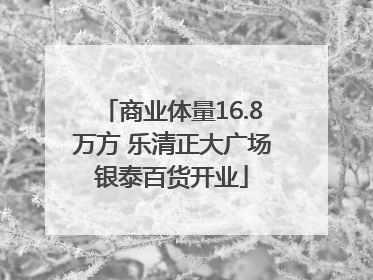 商业体量16.8万方 乐清正大广场银泰百货开业