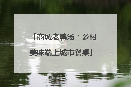 商城老鸭汤：乡村美味端上城市餐桌