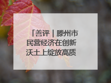 善评｜滕州市民营经济在创新沃土上绽放高质量发展之花