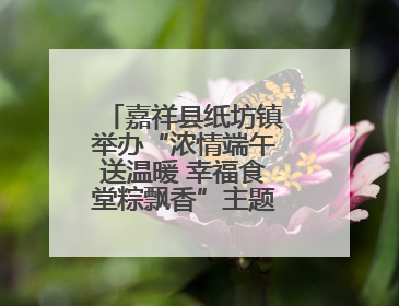 嘉祥县纸坊镇举办“浓情端午送温暖 幸福食堂粽飘香”主题文明实践活动