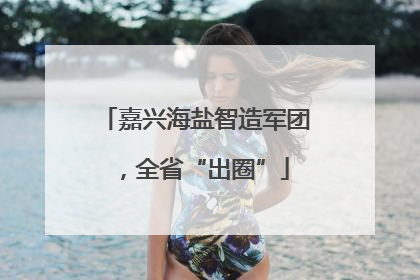 嘉兴海盐智造军团，全省“出圈”