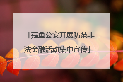 嘉鱼公安开展防范非法金融活动集中宣传