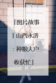 图片故事丨山西永济：种粮大户收获忙