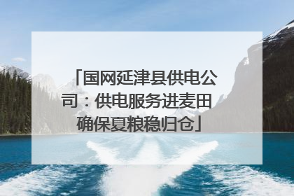 国网延津县供电公司：供电服务进麦田 确保夏粮稳归仓