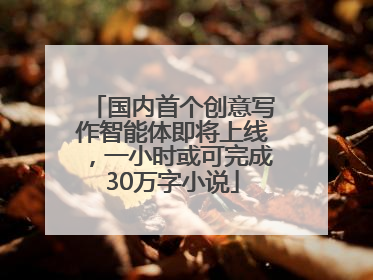 国内首个创意写作智能体即将上线，一小时或可完成30万字小说