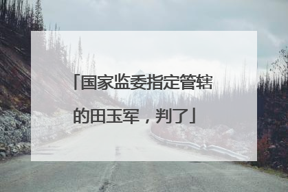 国家监委指定管辖的田玉军，判了
