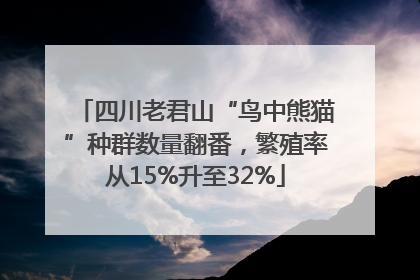 四川老君山“鸟中熊猫”种群数量翻番，繁殖率从15%升至32%
