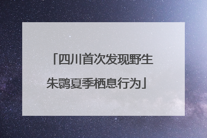 四川首次发现野生朱鹮夏季栖息行为