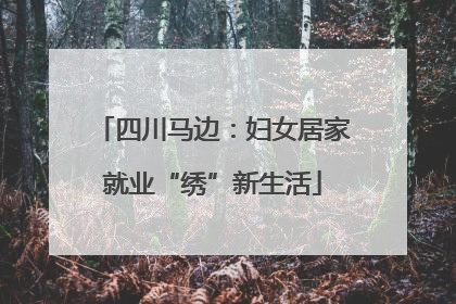 四川马边：妇女居家就业“绣”新生活