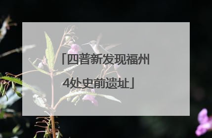 四普新发现福州4处史前遗址