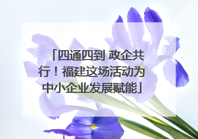 四通四到 政企共行！福建这场活动为中小企业发展赋能