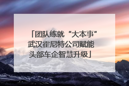 团队练就“大本事” 武汉霍尼特公司赋能头部车企智慧升级