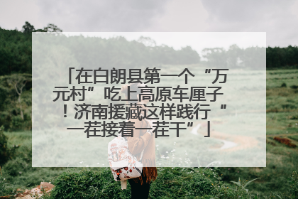 在白朗县第一个“万元村”吃上高原车厘子！济南援藏这样践行“一茬接着一茬干”