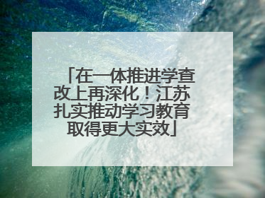 在一体推进学查改上再深化！江苏扎实推动学习教育取得更大实效