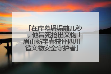 在崖墓坍塌前几秒，他冒死抢出文物！眉山杨宇春获评四川省文物安全守护者