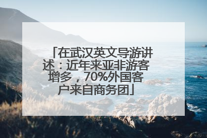 在武汉英文导游讲述：近年来亚非游客增多，70%外国客户来自商务团