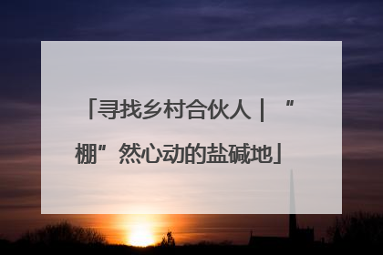 寻找乡村合伙人｜“棚”然心动的盐碱地