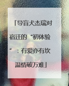 导盲犬杰瑞对宿迁的“初体验”：有爱亦有坎 温情破万难