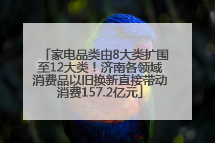 家电品类由8大类扩围至12大类！济南各领域消费品以旧换新直接带动消费157.2亿元