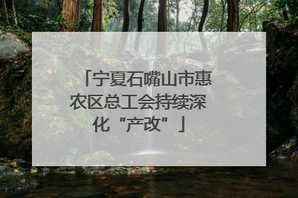 宁夏石嘴山市惠农区总工会持续深化“产改”