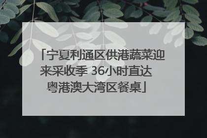 宁夏利通区供港蔬菜迎来采收季 36小时直达粤港澳大湾区餐桌