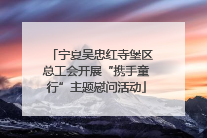 宁夏吴忠红寺堡区总工会开展“携手童行”主题慰问活动