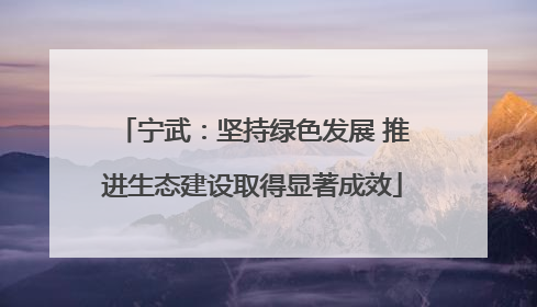 宁武：坚持绿色发展 推进生态建设取得显著成效