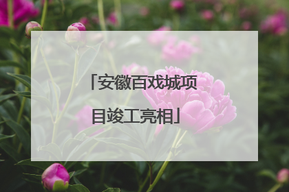 安徽百戏城项目竣工亮相