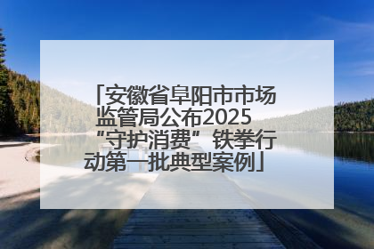 安徽省阜阳市市场监管局公布2025“守护消费”铁拳行动第一批典型案例
