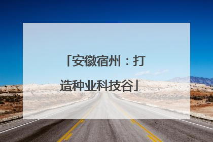 安徽宿州：打造种业科技谷