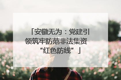 安徽无为：党建引领筑牢防范非法集资“红色防线”