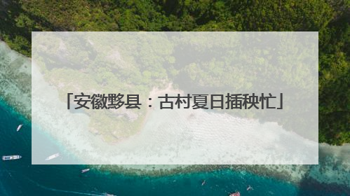 安徽黟县：古村夏日插秧忙