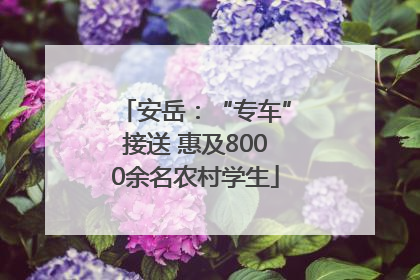 安岳：“专车”接送 惠及8000余名农村学生