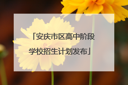 安庆市区高中阶段学校招生计划发布