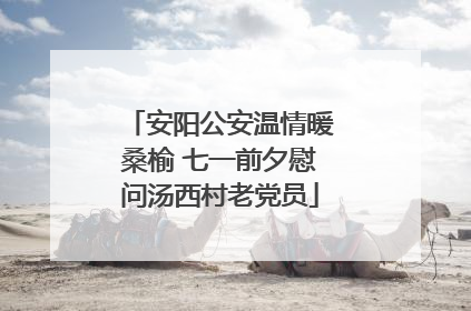 安阳公安温情暖桑榆 七一前夕慰问汤西村老党员