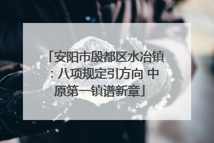 安阳市殷都区水冶镇：八项规定引方向 中原第一镇谱新章