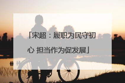 宋超：履职为民守初心 担当作为促发展