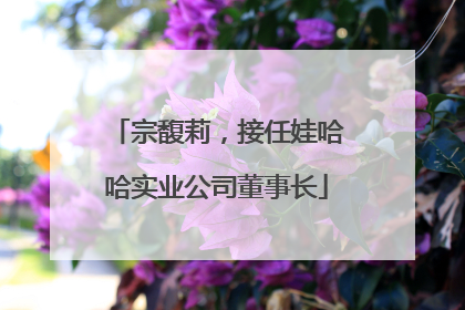 宗馥莉，接任娃哈哈实业公司董事长