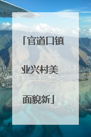 官道口镇 业兴村美面貌新
