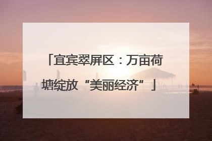 宜宾翠屏区：万亩荷塘绽放“美丽经济”