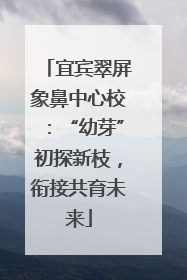 宜宾翠屏象鼻中心校：“幼芽”初探新枝，衔接共育未来