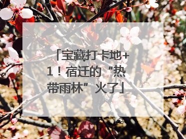 宝藏打卡地+1！宿迁的“热带雨林”火了