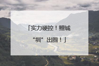 实力硬控！鲤城“圳”出圈！