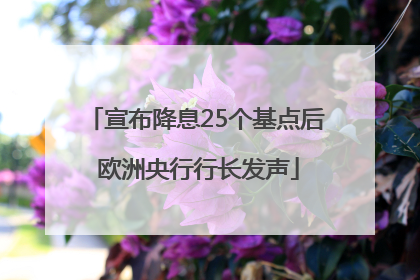 宣布降息25个基点后 欧洲央行行长发声