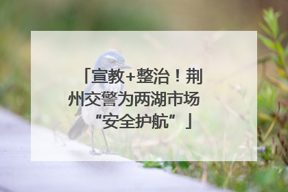 宣教+整治！荆州交警为两湖市场“安全护航”