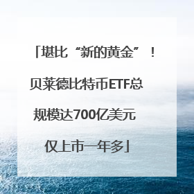 堪比“新的黄金”！贝莱德比特币ETF总规模达700亿美元 仅上市一年多