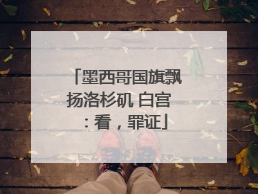 墨西哥国旗飘扬洛杉矶 白宫：看，罪证