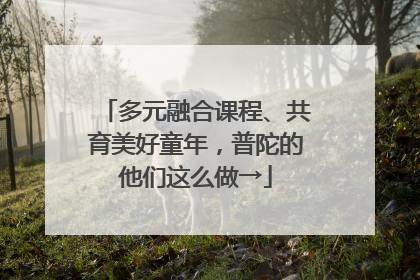 多元融合课程、共育美好童年，普陀的他们这么做→